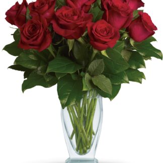 Rose Classique - Dozen Red Roses