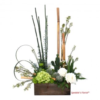 Cactus Garden Medley