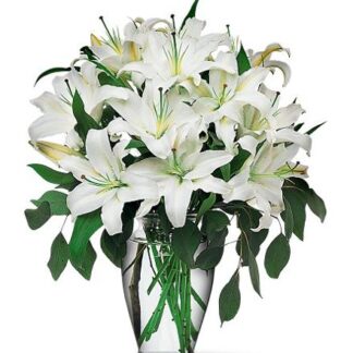 Perfect White Lilies