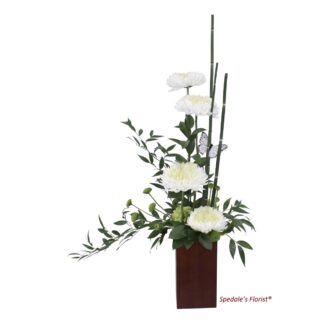 Ivory Bamboo Bliss