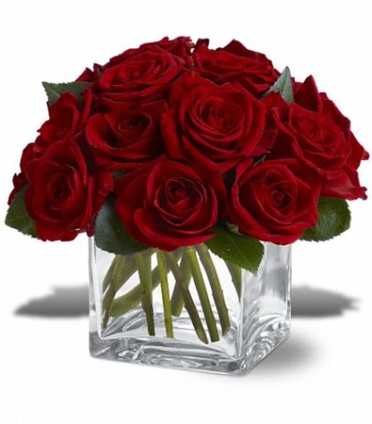 Dozen Rose Contempo