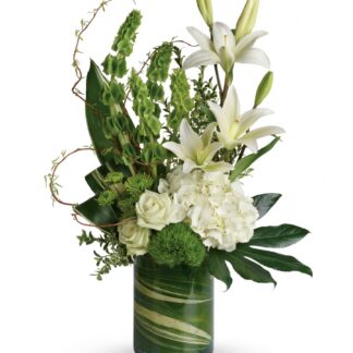 Botanical Beauty