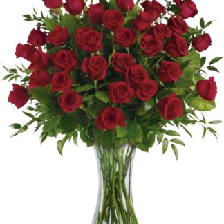 Breathtaking Beauty - 3 Dozen Long Stemmed Roses