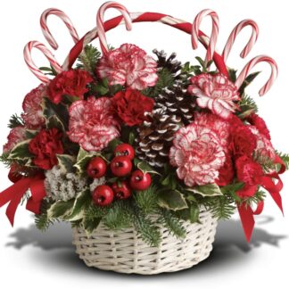 Candy Cane Christmas
