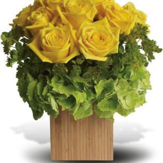 Box of Sunshine