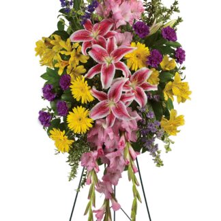 Rainbow Of Remembrance Spray