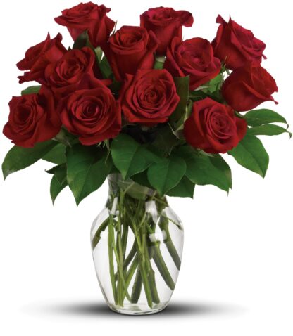 Red Roses