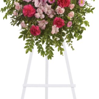 Pink Tribute Spray