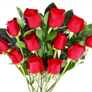 One Dozen Red Roses