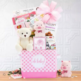 Baby Bundle (Pink)