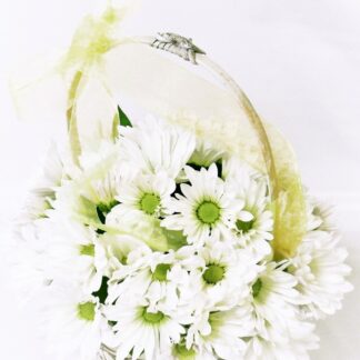 Country Fresh Daisies
