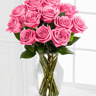 A Perfect Pink Dozen