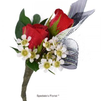 Red Rose Piggyback