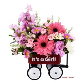 Baby's First Wagon - Girl