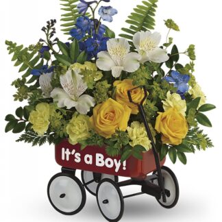 Baby's First Wagon - Boy