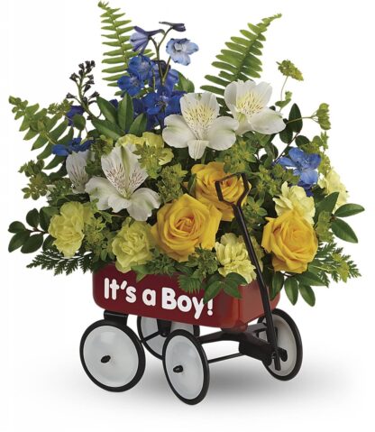 Baby's First Wagon - Boy