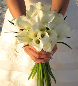 The Dream Wedding
