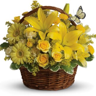 Basket Full of Wishes