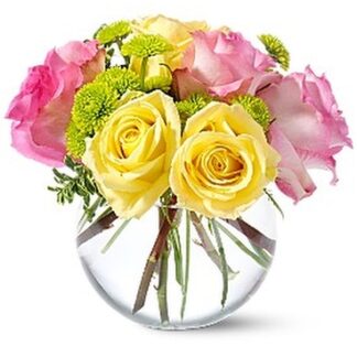 Pink Lemonade Roses