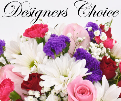 Designer's Choice