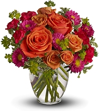 Adeliade <br><span class="local-delivery-disclaimer" style="text-decoration: none; font-size: 0.5em; color: #FF0000;">• Local Delivery Only</span>