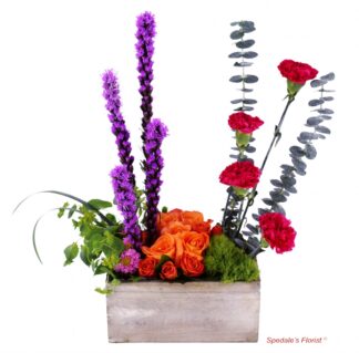 Francesca <br><span class="local-delivery-disclaimer" style="text-decoration: none; font-size: 0.5em; color: #FF0000;">• Local Delivery Only</span>