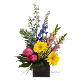 Akira <br><span class="local-delivery-disclaimer" style="text-decoration: none; font-size: 0.5em; color: #FF0000;">• Local Delivery Only</span>