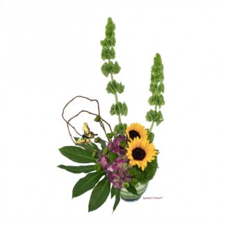 Kimoko <br><span class="local-delivery-disclaimer" style="text-decoration: none; font-size: 0.5em; color: #FF0000;">• Local Delivery Only</span>