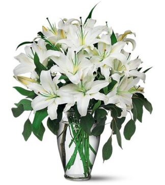 Perfect White Lilies
