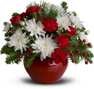 Christmas Treasure <br><span class="local-delivery-disclaimer" style="text-decoration: none; font-size: 0.5em; color: #FF0000;">• Local Delivery Only</span>