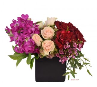 Yesenia <br><span class="local-delivery-disclaimer" style="text-decoration: none; font-size: 0.5em; color: #FF0000;">• Local Delivery Only</span>