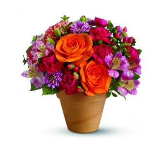 Morning in Sorrento <br><span class="local-delivery-disclaimer" style="text-decoration: none; font-size: 0.5em; color: #FF0000;">• Local Delivery Only</span>