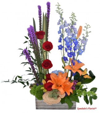 Nora <br><span class="local-delivery-disclaimer" style="text-decoration: none; font-size: 0.5em; color: #FF0000;">• Local Delivery Only</span>