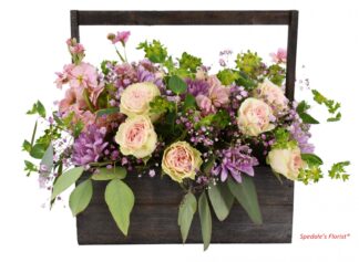 Noemi <br><span class="local-delivery-disclaimer" style="text-decoration: none; font-size: 0.5em; color: #FF0000;">• Local Delivery Only</span>