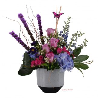 Namiko <br><span class="local-delivery-disclaimer" style="text-decoration: none; font-size: 0.5em; color: #FF0000;">• Local Delivery Only</span>