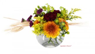 Chiara <br><span class="local-delivery-disclaimer" style="text-decoration: none; font-size: 0.5em; color: #FF0000;">• Local Delivery Only</span>