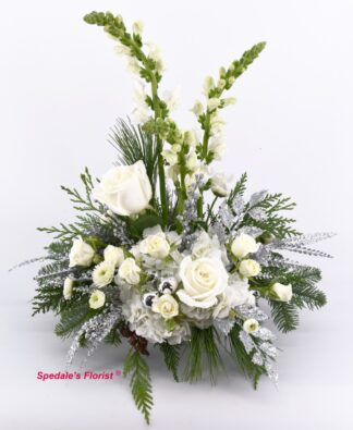 Snow White Christmas <br><span class="local-delivery-disclaimer" style="text-decoration: none; font-size: 0.5em; color: #FF0000;">• Local Delivery Only</span>