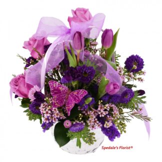 Primrose <br><span class="local-delivery-disclaimer" style="text-decoration: none; font-size: 0.5em; color: #FF0000;">• Local Delivery Only</span>