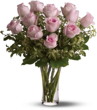 A Dozen Pink Roses