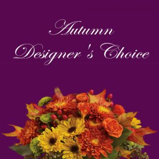 Autumn Designer's Choice