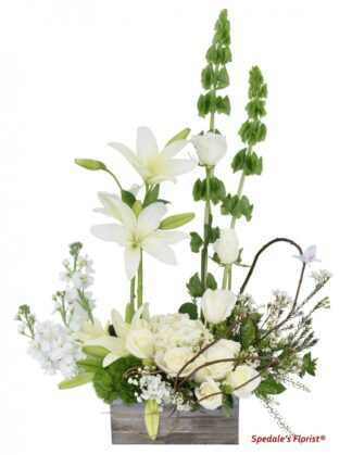 Milou <br><span class="local-delivery-disclaimer" style="text-decoration: none; font-size: 0.5em; color: #FF0000;">• Local Delivery Only</span>