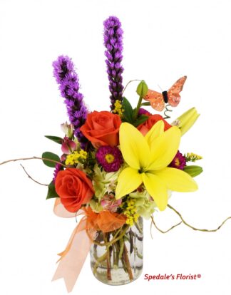 Marisol <br><span class="local-delivery-disclaimer" style="text-decoration: none; font-size: 0.5em; color: #FF0000;">• Local Delivery Only</span>