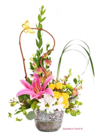 Kaitlyn <br><span class="local-delivery-disclaimer" style="text-decoration: none; font-size: 0.5em; color: #FF0000;">• Local Delivery Only</span>