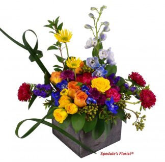 Leilani <br><span class="local-delivery-disclaimer" style="text-decoration: none; font-size: 0.5em; color: #FF0000;">• Local Delivery Only</span>