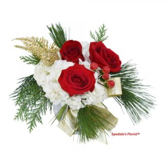 Christmas Cheer <br><span class="local-delivery-disclaimer" style="text-decoration: none; font-size: 0.5em; color: #FF0000;">• Local Delivery Only</span>