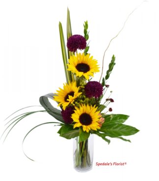 Laia <br><span class="local-delivery-disclaimer" style="text-decoration: none; font-size: 0.5em; color: #FF0000;">• Local Delivery Only</span>