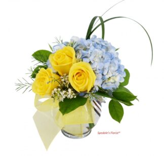 Sandy <br><span class="local-delivery-disclaimer" style="text-decoration: none; font-size: 0.5em; color: #FF0000;">• Local Delivery Only</span>