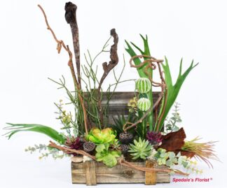 Callisto <br><span class="local-delivery-disclaimer" style="text-decoration: none; font-size: 0.5em; color: #FF0000;">• Local Delivery Only</span>