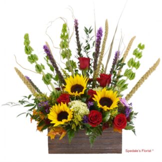 Luca <br><span class="local-delivery-disclaimer" style="text-decoration: none; font-size: 0.5em; color: #FF0000;">• Local Delivery Only</span>