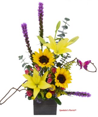 Martina <br><span class="local-delivery-disclaimer" style="text-decoration: none; font-size: 0.5em; color: #FF0000;">• Local Delivery Only</span>